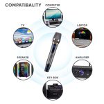 SONICGEAR - WM 8800UL Dual Wireless Microphone - Image 6